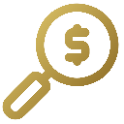 Transparência Financeira Total